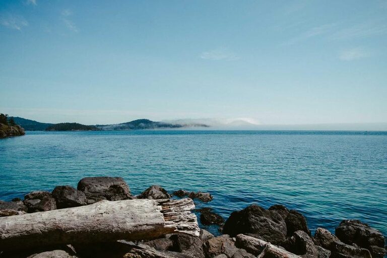 resized_13_fallback