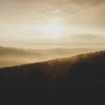 resized_33_fallback