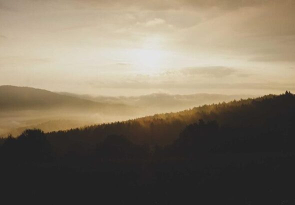 resized_33_fallback