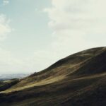 resized_37_fallback