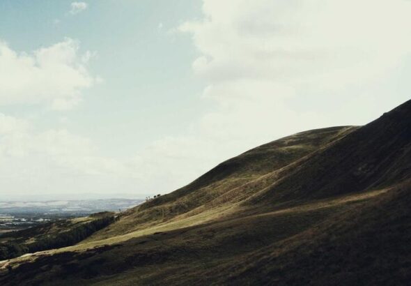 resized_37_fallback