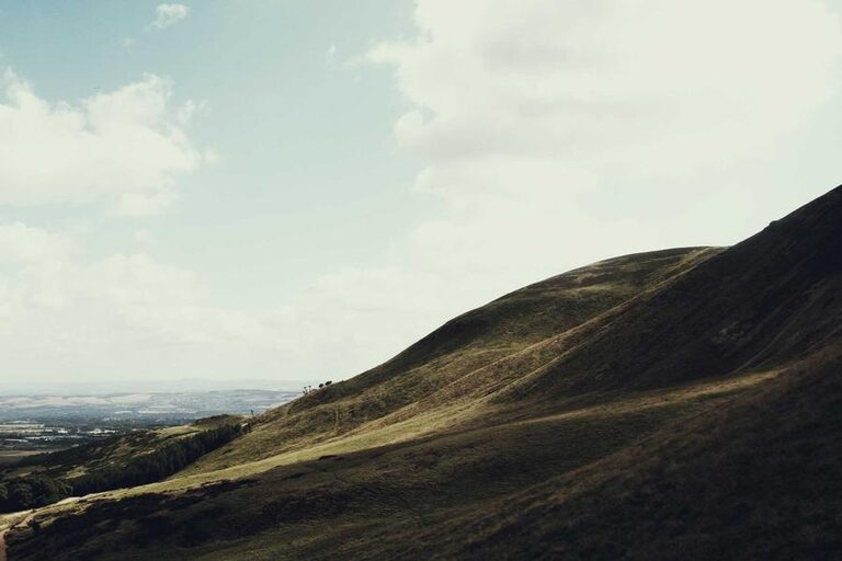 resized_37_fallback